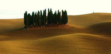 orcia2